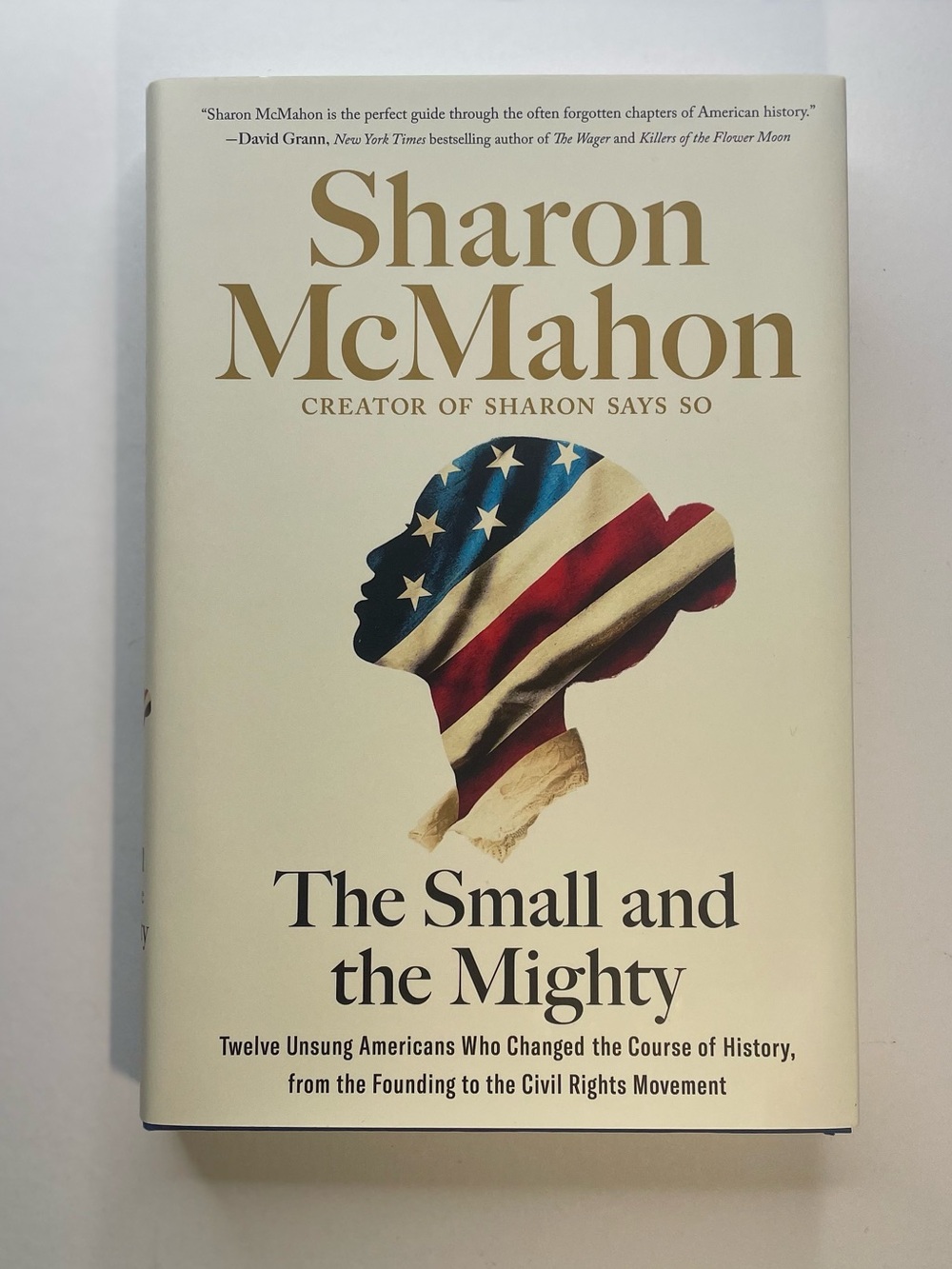 The Small and the Mighty Hard Cover Book Sharon McMahon America’s Govt Teacher
